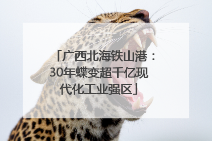 广西北海铁山港：30年蝶变超千亿现代化工业强区