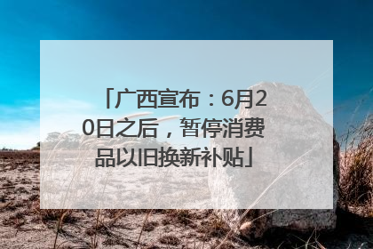 广西宣布：6月20日之后，暂停消费品以旧换新补贴