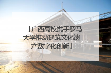 广西高校携手罗马大学推动建筑文化遗产数字化创新