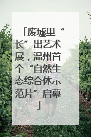 废墟里“长”出艺术展，温州首个“自然生态综合体示范片”启幕