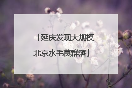 延庆发现大规模北京水毛茛群落