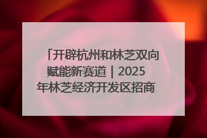 开辟杭州和林芝双向赋能新赛道｜2025年林芝经济开发区招商引资（杭州）推介展销活动在杭举办