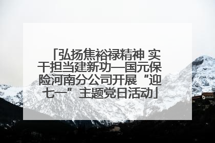 弘扬焦裕禄精神 实干担当建新功—国元保险河南分公司开展“迎七一”主题党日活动