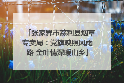 张家界市慈利县烟草专卖局：党旗映照风雨路 金叶情深暖山乡