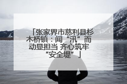 张家界市慈利县杉木桥镇：闻“汛”而动显担当 齐心筑牢“安全堤”