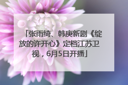 张雨绮、韩庚新剧《绽放的许开心》定档江苏卫视，6月5日开播