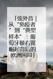 弦外音｜从“免疫者”到“典型样本”：葡萄牙极右翼崛起背后的欧洲困局