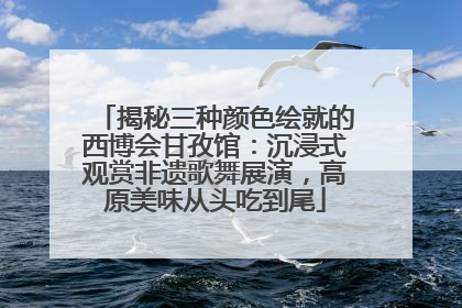 揭秘三种颜色绘就的西博会甘孜馆：沉浸式观赏非遗歌舞展演，高原美味从头吃到尾