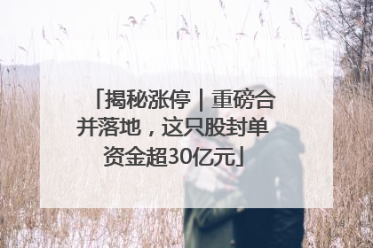 揭秘涨停｜重磅合并落地，这只股封单资金超30亿元