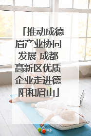 推动成德眉产业协同发展 成都高新区优质企业走进德阳和眉山