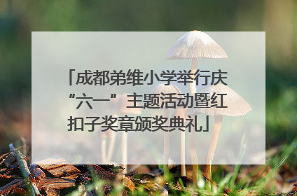 成都弟维小学举行庆“六一”主题活动暨红扣子奖章颁奖典礼