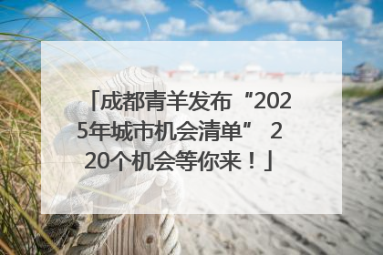 成都青羊发布“2025年城市机会清单” 220个机会等你来！
