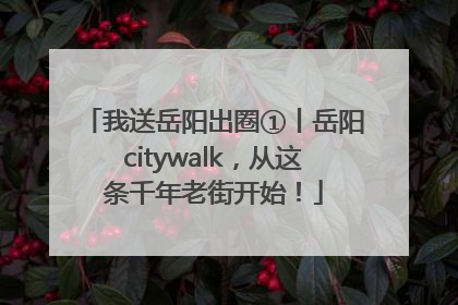 我送岳阳出圈①丨岳阳citywalk，从这条千年老街开始！