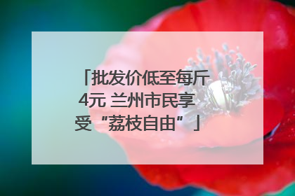 批发价低至每斤4元 兰州市民享受“荔枝自由”