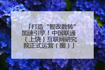 打造“智改数转”加速引擎！中国联通（上饶）互联网研究院正式运营（图）