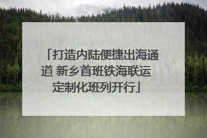 打造内陆便捷出海通道 新乡首班铁海联运定制化班列开行