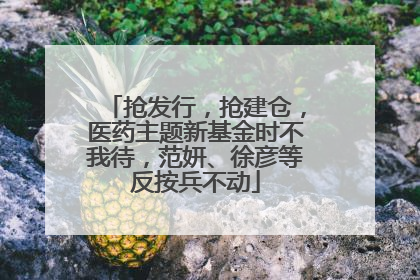 抢发行，抢建仓，医药主题新基金时不我待，范妍、徐彦等反按兵不动