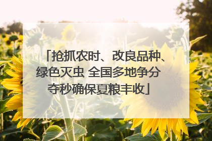 抢抓农时、改良品种、绿色灭虫 全国多地争分夺秒确保夏粮丰收