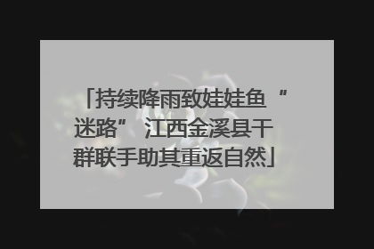 持续降雨致娃娃鱼“迷路” 江西金溪县干群联手助其重返自然