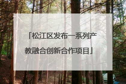 松江区发布一系列产教融合创新合作项目