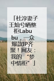 杜淳妻子王灿兮晒整柜Labubu，一众爆款IP齐聚！网友：我的 “梦中情柜”