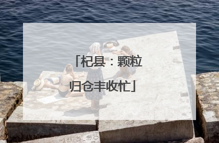 杞县：颗粒归仓丰收忙