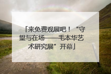 来免费观展吧！“守望与在场——毛本华艺术研究展”开幕