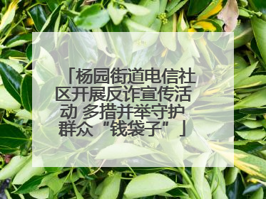 杨园街道电信社区开展反诈宣传活动 多措并举守护群众“钱袋子”