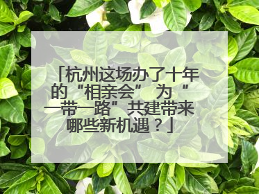 杭州这场办了十年的“相亲会” 为“一带一路”共建带来哪些新机遇？