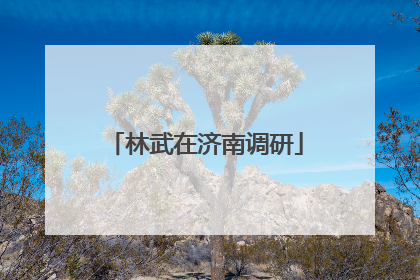 林武在济南调研
