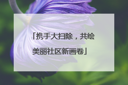 携手大扫除，共绘美丽社区新画卷
