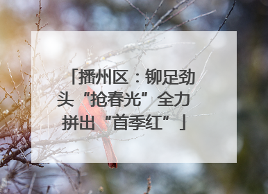 播州区：铆足劲头“抢春光”全力拼出“首季红”
