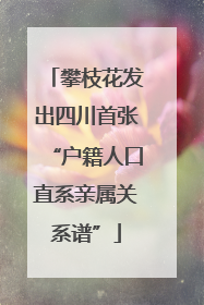攀枝花发出四川首张“户籍人口直系亲属关系谱”