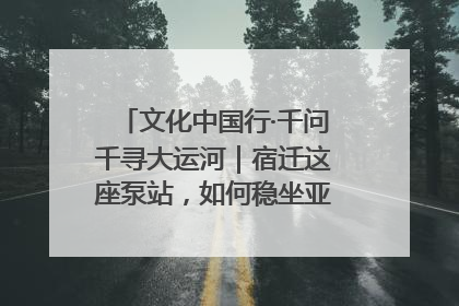 文化中国行·千问千寻大运河｜宿迁这座泵站，如何稳坐亚洲第一宝座？