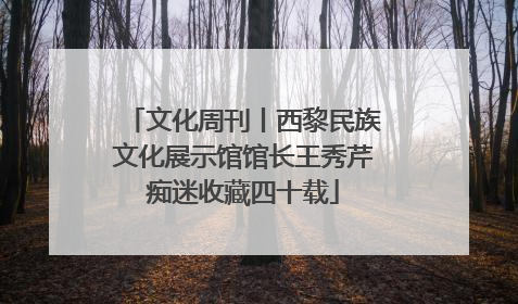 文化周刊丨西黎民族文化展示馆馆长王秀芹痴迷收藏四十载