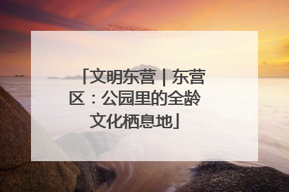 文明东营｜东营区：公园里的全龄文化栖息地
