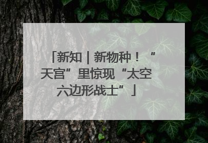 新知｜新物种！“天宫”里惊现“太空六边形战士”