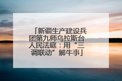 新疆生产建设兵团第九师乌拉斯台人民法庭：用“三调联动”解牛事