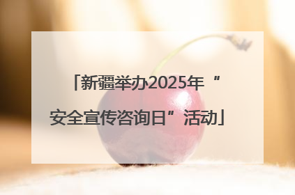 新疆举办2025年“安全宣传咨询日”活动