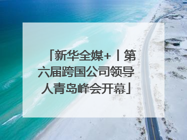 新华全媒+丨第六届跨国公司领导人青岛峰会开幕
