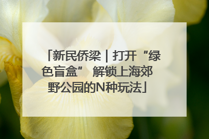 新民侨梁｜打开“绿色盲盒” 解锁上海郊野公园的N种玩法