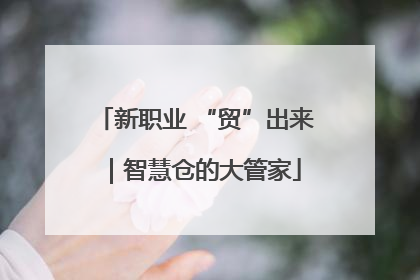 新职业 “贸”出来｜智慧仓的大管家