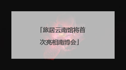 旅居云南馆将首次亮相南博会