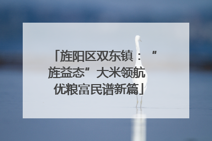 旌阳区双东镇：“旌益态”大米领航 优粮富民谱新篇