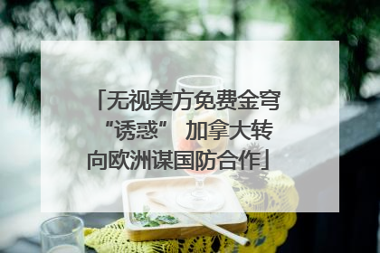 无视美方免费金穹“诱惑” 加拿大转向欧洲谋国防合作