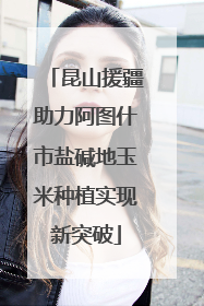 昆山援疆助力阿图什市盐碱地玉米种植实现新突破