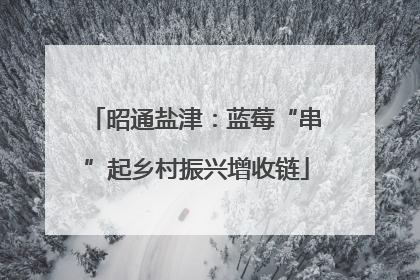 昭通盐津：蓝莓“串”起乡村振兴增收链
