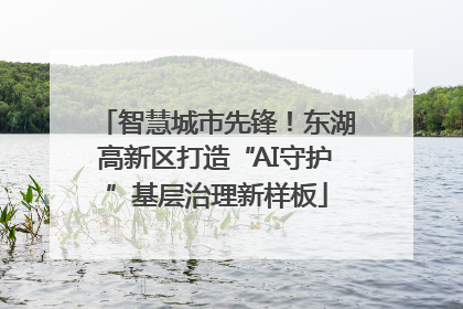 智慧城市先锋！东湖高新区打造“AI守护”基层治理新样板