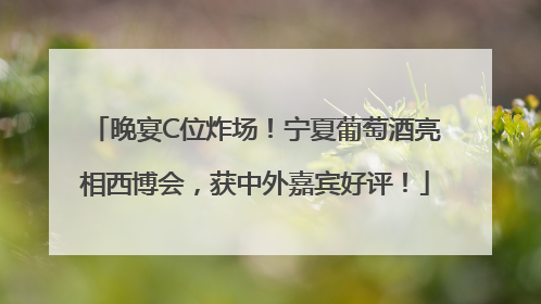 晚宴C位炸场！宁夏葡萄酒亮相西博会，获中外嘉宾好评！