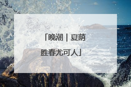 晚潮｜夏荫胜春尤可人